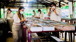 Cordoba Minerals Announces Appointment of Dr. Ernesto Lima as Vice  President and Project Director of the 100% Owned San Matias  Copper-Gold-Silver Project