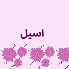 ما معنى اسم اسيل وصفات حامل الاسم وشخصيتها باللغة العربي