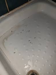 We did not find results for: Bethnal Green Rooms Prices Specialty Inn Reviews London England Tripadvisor
