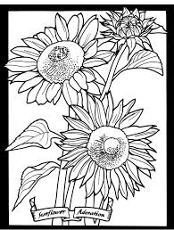 Welcome To Dover Publications Sunflower Coloring Pages Dover Coloring Pages Coloring Pages
