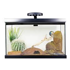 Exo Terra Leopard Gecko Starter Kit Petco Leopard Gecko Gecko Habitat Gecko