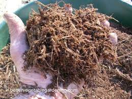 Rated 5.00 out of 5 based on 1 customer rating. Using Hardwood Bark Mulch Around The Veggie Garden