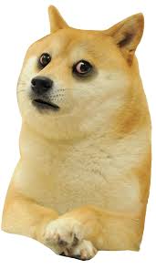 All our images are transparent and free for personal use. Le Depressed Doge Template Has Arrived R Dogelore Ironic Doge Memes Know Your Meme