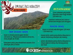 Jenis tanaman yang tumbuh di hutan ini adalah tumbuhan tropofit yaitu tumbuhan yang dapat beradaptasi dengan musim, di antaranya pohon oak, maple, jati, pinus. Kementerian Tenaga Dan Sumber Asli On Twitter Geng Hiking Mesti Kenal Pokok Yang Ada Di Kawasan Pergunungan Kan Hutan Gunung Adalah Salah Satu Jenis Hutan Yang Ada Di Malaysia Uniknya Hutan Ini