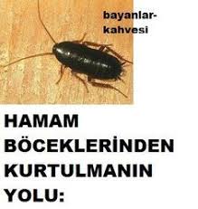 Ziyaret Edilecek Yerler Panosundaki Pin