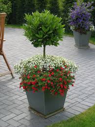 Gartengestaltung Michael Staack In Ottendorf Kiel Und Eckernforde Bepflanzung Garten Pflanzen Garten