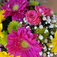 She served on the scappoose city council and was mayor of scappoose from 1979 until 1988. Berkshire Florist Darlenes Flowers Local Flower Delivery Berkshire Ny 13736