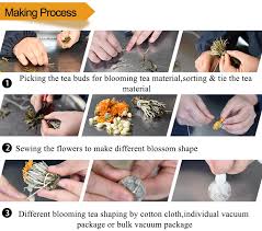 Well you're in luck, because here they come. Flower Blooming Tea Balls Eu Standards Buy Flower Tea Ball Blooming Tea Ball Assorted Flowering Tea Ball Product On Alibaba Com