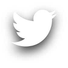 Twitter Icon White #113260 - Free Icons Library