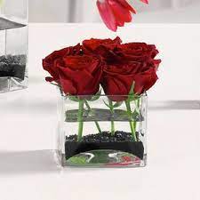 Find things to do, lodging, and things to do in st. Saint George Ut 84770 Florist Pathes Of Iris Violets