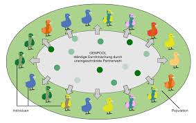 Перевод контекст genfluss c немецкий на русский от reverso context: Ernst Klett Verlag Gmbh Stuttgart