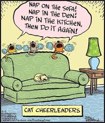 Comic Book Cats, number 188: Free Range by Bill Whitehead