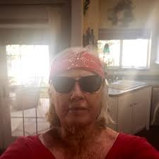 fran saunders. (@fransaundersbee)