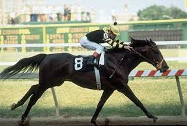 Triple Crown Winners Slideshow Horses Thoroughbred Horse Racing Horse Racing