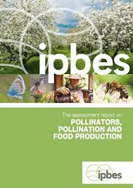 These bacteria are manifested from hence, there is increasing demand for safe food in malaysia that has led to the strengthening of food safety control. Assessment Report On Pollinators Pollination And Food Production Ipbes Secretariat