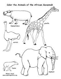 Mar 06, 2021 · sea animals coloring pages pdf. African Animals Coloring Pages Pdf