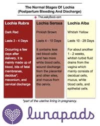 Everything You Need To Know About Postpartum Bleeding And