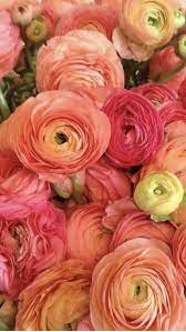 Pin On Wedding Flowers