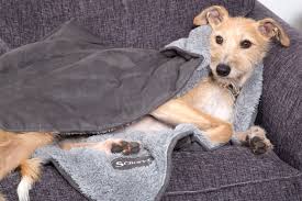Dog blanket will ensure your dogs enjoy every moment even during winter. Scruffs Cosy Grey Dog Blanket Luxury Dog Blankets