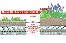 Dachbegrunung Die Wichtigsten Infos Das Haus Dachbegrunung Flachdach Begrunung Carports
