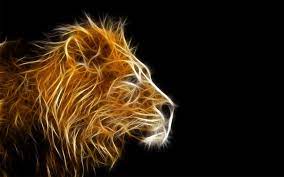 Wallpapers Download In Hd Group 1024 640 Free Download Hd Wallpapers 46 Wallpapers Adorable Wallpapers Lion Wallpaper Lion Hd Wallpaper Animal Wallpaper