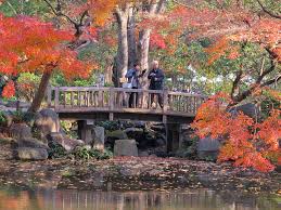 Adding a japanese garden to your home is a great way to build your own little getaway, all while putting your. What Are The Basic Japanese Garden Structures Shizenstyle