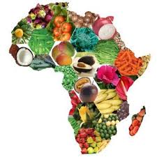 Mapa Do Brasil Com Comidas Fruit Africain Africaine Activite Manuelle Enfant