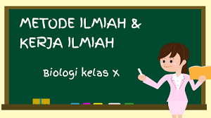 Pernah mendengar tentang metode ilmiah. Metode Ilmiah Dan Kerja Ilmiah Biologi Kelas 10 Youtube