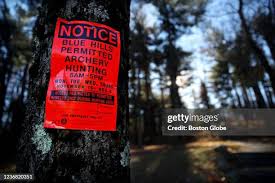 25 Blue Hills Reservation Massachusetts Stock Photos, High-Res Pictures,  and Images