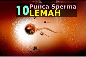 Ketahui Rahsia Macam Mana Nak Dapatkan Sperma Yang Sihat Dunia Lelaki Wanita Lelaki Forum Cari Infonet