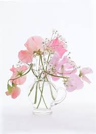 Flower Photography Pink Sweet Peas Flower Bouquet Vase Sweet Pea Flowers Flowers Photography