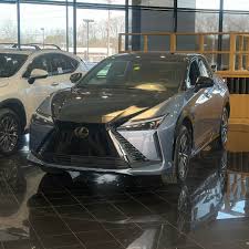 Image result for Black Onyx 2024 RZ