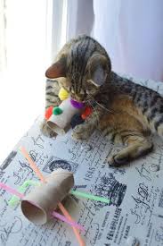 Diy Cat Toys The Samantha Show Diy Cat Toys Cat Diy Diy Pet Toys