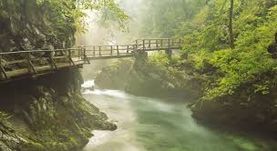 ✓ usage commercial gratis ✓ images haute qualité. 20 Paysages Surnaturels Et Ensorcelants