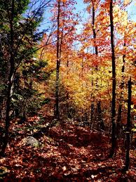 Esterel Dans Les Laurentides Pour Un Week End D Automne Au Quebec Canada Paysage Quebec Laurentides