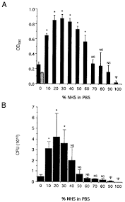 The Type Ii O Antigenic Polysaccharide Moiety Of Burkholderia Pseudomallei Lipopolysaccharide Is Required For Serum Resistance And Virulence Deshazer 1998 Molecular Microbiology Wiley Online Library