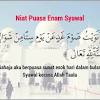 Puasa syawal adalah puasa enam hari di bulan syawal, setelah idul fitri. 1