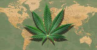 Außer zu medizinischen zwecken ist cannabis in deutschland verboten. Cannabis Legalisierung In Diesen Landern Ist Kiffen Erlaubt Weedo