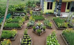 Ketika berkunjung di perpustaakaan umum atau universitas, sering kali area tersebut lebih luas juga penuh namun, perpustakaan mini di rumah dapat membawa anda lebih intim dari kelihatannya. Kebun Sayur Mini Di Rumah Desainrumahkeren Cute766