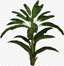 Banana Leaf Palm Banana Leaf Plant Png Image With Transparent Background Toppng Lovepik provides 32000+ banana leaf photos in hd resolution that updates everyday, you can free download for both personal and commerical use. banana leaf palm banana leaf plant