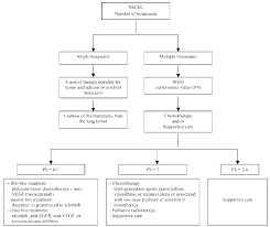 Martin, md on july 28, 2019. Therapeutic Strategy Used In Treatment Of Stage Iv Nsclc Egfr Download Scientific Diagram
