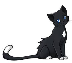 2448 x 3264 jpeg 527 кб. Pictures Of Anime Warrior Cats
