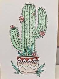 Cactus flower on transparent background. 900 Cactus Drawings Ideas Cactus Drawing Cactus Drawings