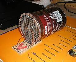 Humane Homemade Mousetrap Mouse Trap Diy Mouse Traps Rat Trap Diy