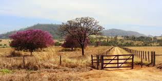 Identificamos atividades maliciosas provenientes deste endereço ip. Hintergrundbilder Strasse Rosa Baume Brasilien Himmel Berge Zuhause Natur Wolken Landlichen Landschaft Zuruck Lange Bauernhof Natureza Reise Cerrado Goiania Goias Bewiahn 2592x1308 1036426 Hintergrundbilder Wallhere