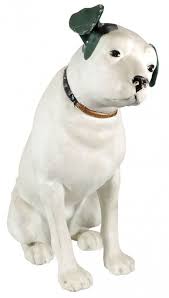 Pin On Dogs