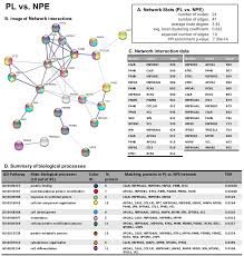 Learn vocabulary, terms, and more with flashcards, games, and other study tools. Cancers Free Full Text Protein Oxidative Damage In Uv Related Skin Cancer And Dysplastic Lesions Contributes To Neoplastic Promotion And Progression Html