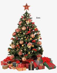 Free download link for christmas tree png transparent images (29 photos) is given below. Christmas Tree Png By Camelfobia On Clipart Library Christmas Tree Png Transparent Png 1456x1812 Free Download On Nicepng