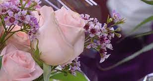 Get info on sarasota enchanted flowers in sarasota, fl 34238. Local Florist Committed To Bringing People Together Through Flowers Florists Review