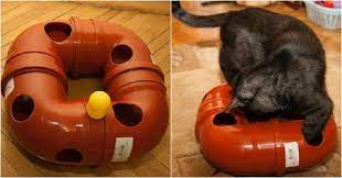 13 luchshih igrushek dlya kotov kotorye mozhno bystro sdelat svoimi rukami homemade cat toys cat toys pets